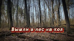 Лесной коп. Вышли на поиски артефактов.