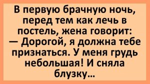Анекдоты | В первую брачную ночь перед тем, как лечь в постель...  | Анекдоты смешные | Юмор