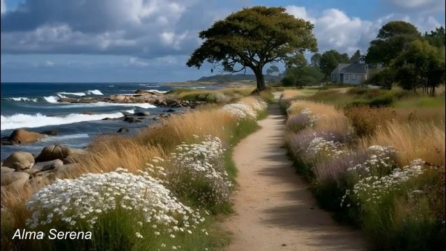 🎵 Un Momento Para Mí 💙 Música Para La Paz Interior #17