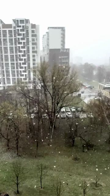 Снег с дождем в Москве