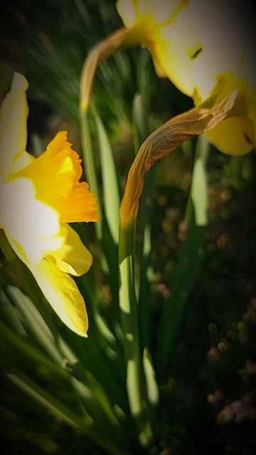 Весна в деревне