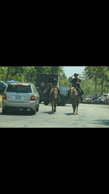 Копы на лошадях в Калифорнии