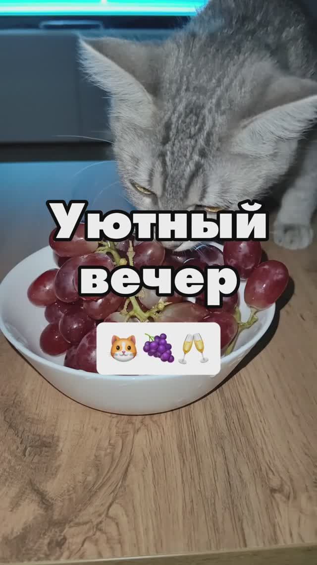 Сергей и Алиса | История двух сердец | Мисти | Уютный вечер