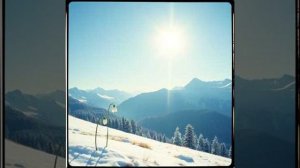 Имя, что всего ясней