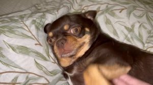 Всем наидобрейшего утречка и чудесного воскресенья.