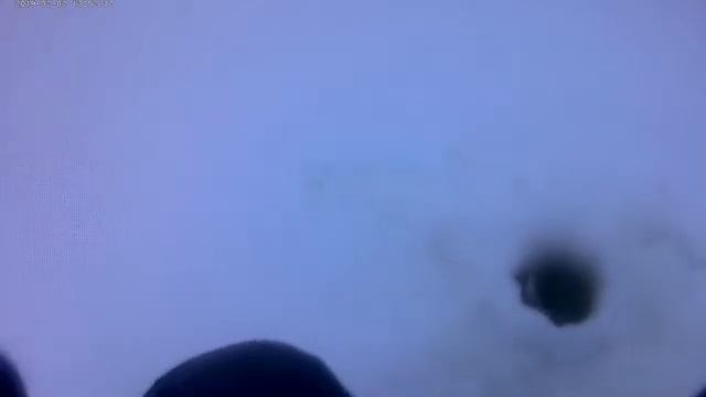 Лучшая зимняя рыбалка на реке Суворощь