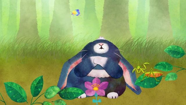 PushBaby Best Treasure Box Vol.50  10min Compilation  PushBaby Official