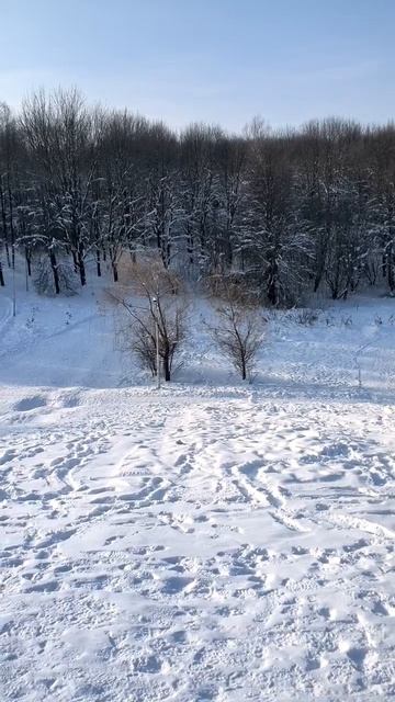 Зима в парке. 2026 г. 07