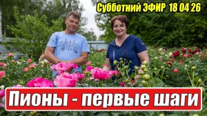 Пионовый рай: Пионы первые шаги Запись прямого эфира от 18 апреля 2026 года