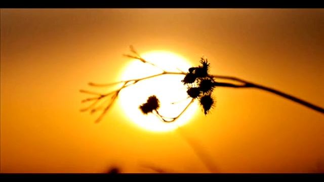 DJ Segen(Илья Киселев) Заветная мечта