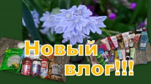 ВЛОГ: КРАСОТА, ЮМОР, ВЫБИРАШКИ!