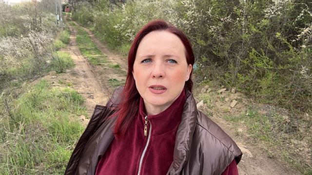 Продается земельный участок СНТ Ромашко Добровское с/с Республика Крым