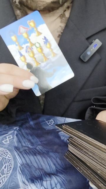 тарорасклад