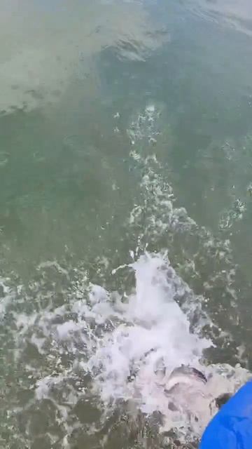 запуск19.04.mp4