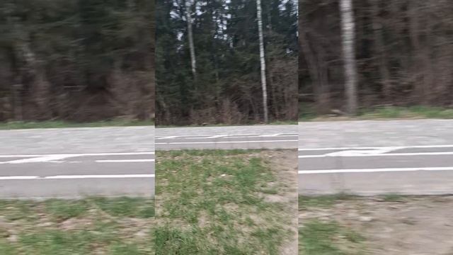 Ydych Chi Eisiau Parhau?