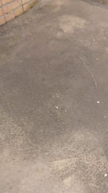 Minecraft реальная жизнь 5 серия ещё одна шахта?!?!