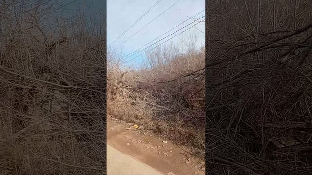 Эх, дороги ...