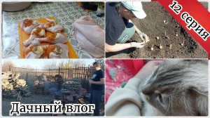 Посадила гладиолусы и лилии / Покупки с фикс прайса / Дачные работы 12 серия