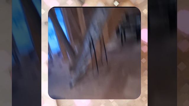 1000056398.mp4 (Собака наблюдает за устройством лестницы на 2-ой этаж в доме А-фрейм)