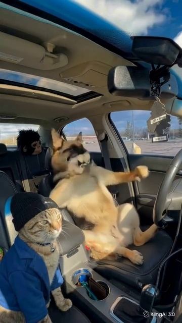 Улетный прикол с собакой и кошкой ии