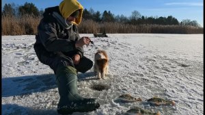 Наедине с собакой в снежной буре / Зимний кемпинг в теплом палатке