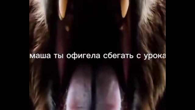 взлом телеканала Россия 1 в 2026