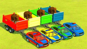 Для детей: ПЕРЕВОЗКА СЛОНОВ ПОЛИЦЕЙСКИМИ МАШИНАМИ