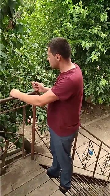 26 июля 2018 г.