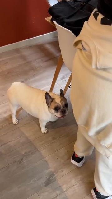 Бро так сильно недоволен, что научился говорить