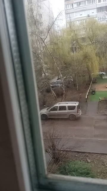 VID_20260415_090102.mp4