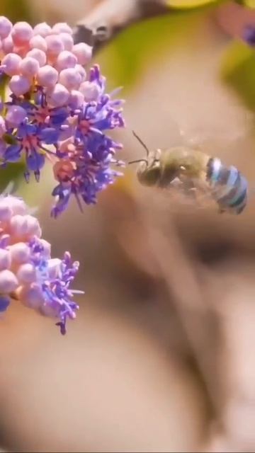 Доброе утро💥🌼