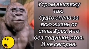 😜 Анекдот из Сыктывкара