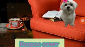 Вопрос ответ