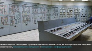 Ученый рассказал об отсутствии массовых мутаций у животных в Чернобыле