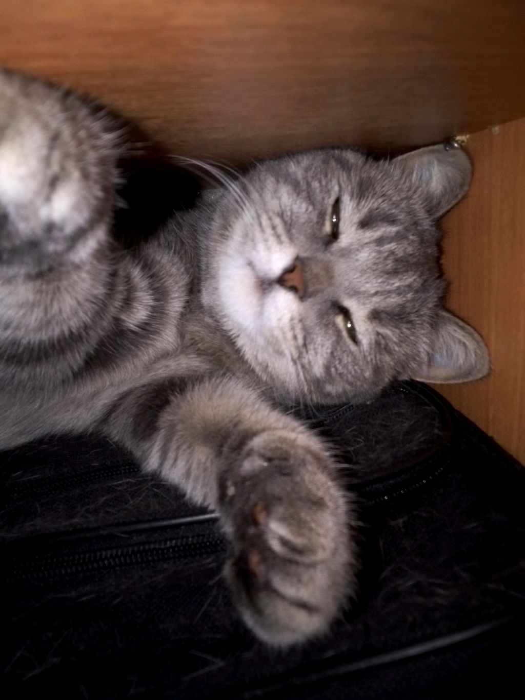 ураа,наконец-то!