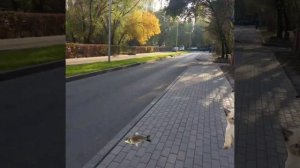 продолжение игрульки!! (ЧЕСН, В СЛЕДУЮЩИЙ РАЗ БУДУ ЖДАТЬ БОЛЬШЕ КОММОВ! ПРОСТО НЕТЕРПЕНИЕ УБИЛО 😭)