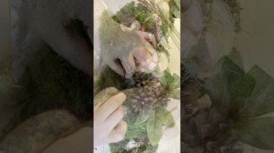 Украшаю дом к Пасхе. Пасхальный декор своими руками