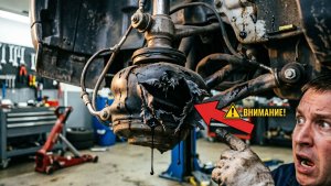 Появились шумы при повороте. Оказалось порвался пыльник