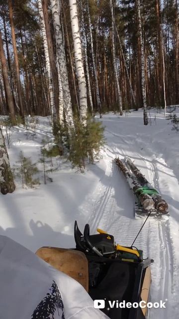 Зимняя заготовка валежника