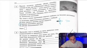 Морские моллюски гребешки обычно спокойно лежащие на дне при приближении к ним их - 27793