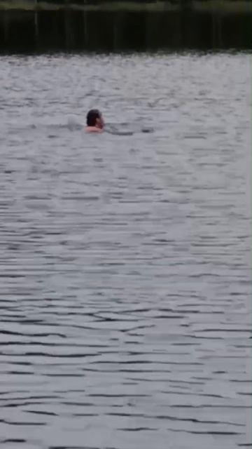 Купание красного коня