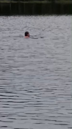 Купание красного коня