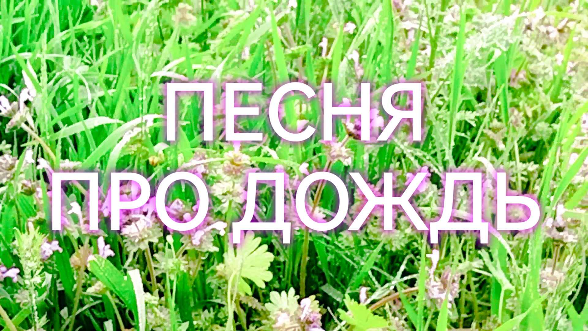 Эхо дождя 😊: деревенская песня,люблю дождь ☔