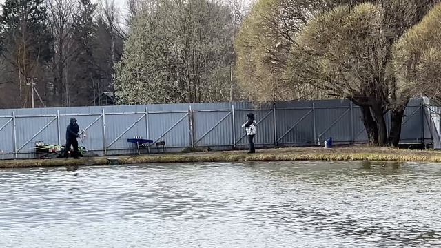 Видеообзор с водоема