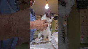 Господи, дай им обоим здоровья и долгих лет жизни