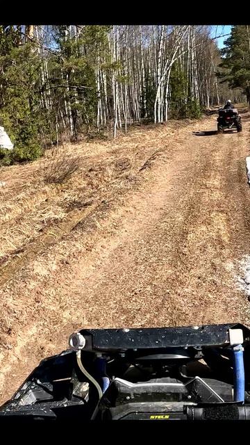 Stels Guepard 850 #shordoga #stels #atv