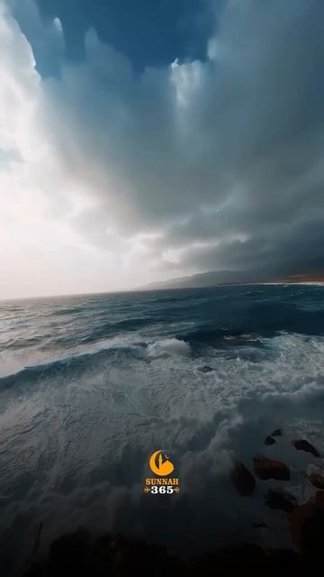 Полагайся только на Аллаха! #хадис #коран #quran #sunnah365