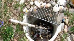 Весеннее СПАСЕНИЕ РЕПТИЛИЙ...