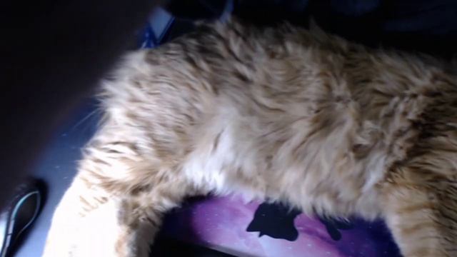 мои трудовыебудни