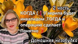 2 часть. КОГДА ☝️Гаврила будет инвалидом, ТОГДА и операцию сделает❗️Понятно❓️